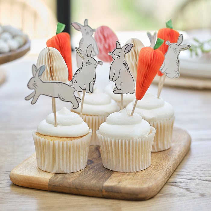 Hop Hop Hooray Cupcake Toppers with Wooden Picks 12pk